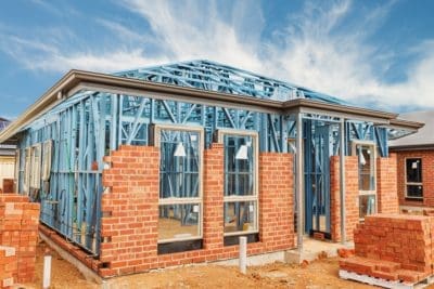 Termites in a steel frame house