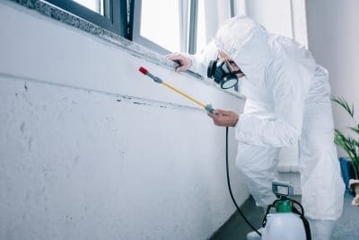 D-Tec Pest Solutions - Our Process