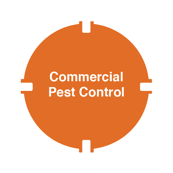 D-Tec Pest Solutions - Home