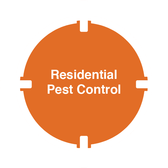 D-Tec Pest Solutions - Home