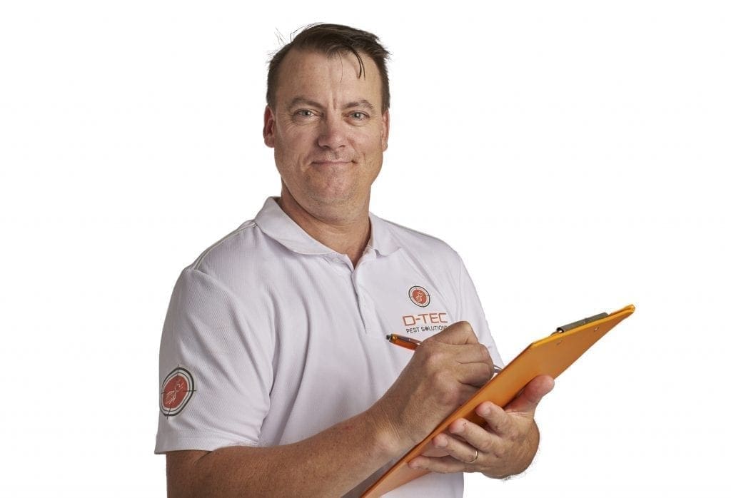 Termite Inspection Brisbane