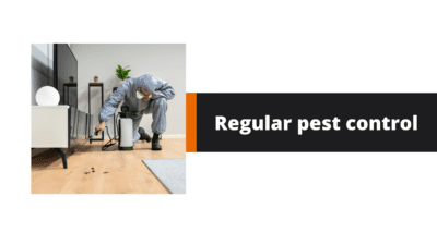 Regular pest control