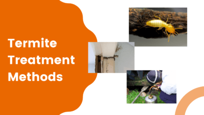 Termite Treatment Methods