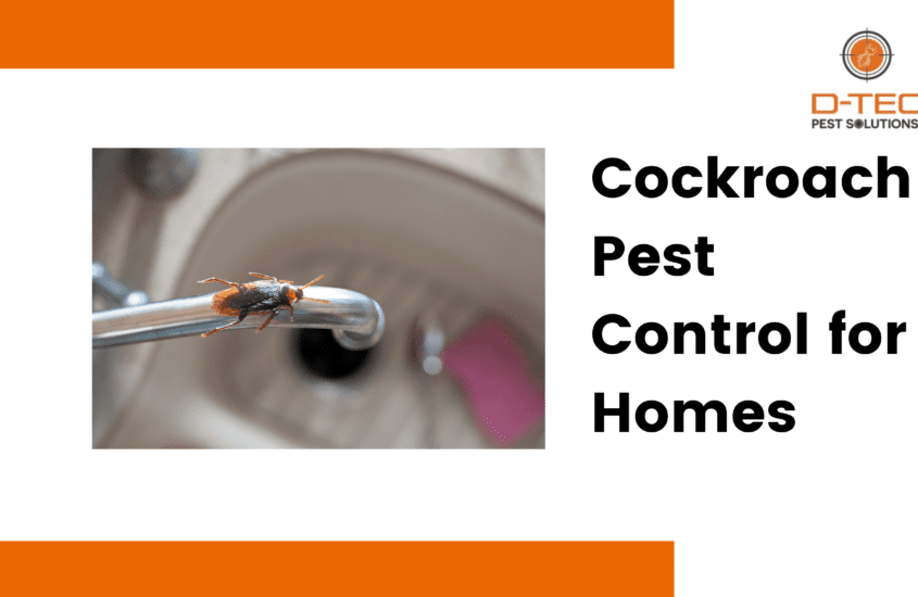 Cockroach Pest Control for Homes