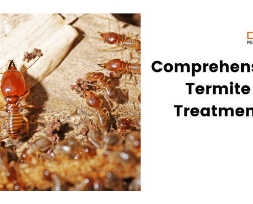 Comprehensive Termite Treatment