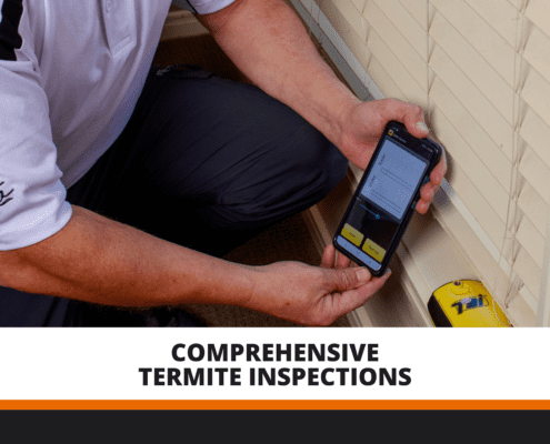 Comprehensive Termite Inspections