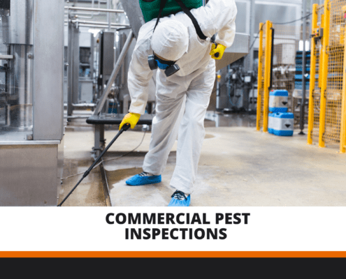 Commercial Pest Inspections Logan