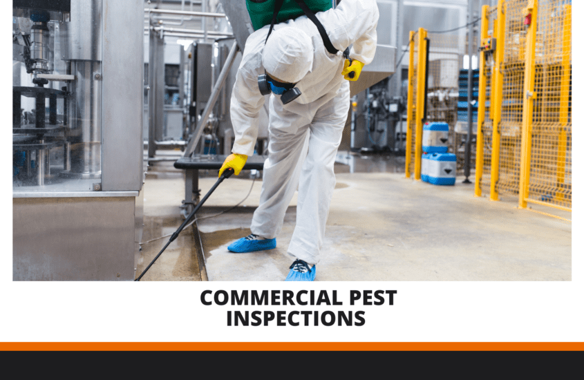 Commercial Pest Inspections Logan