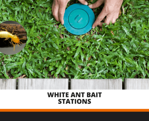 White Ant Bait Stations