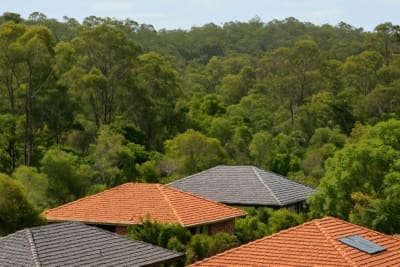 Pest Control Rochedale