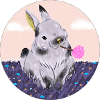 D-Tec Pest Solutions - Home